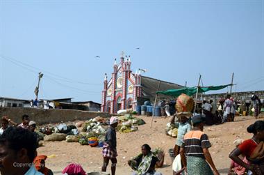 Vizhinjam, Fish Market,_DSC_9040_H600